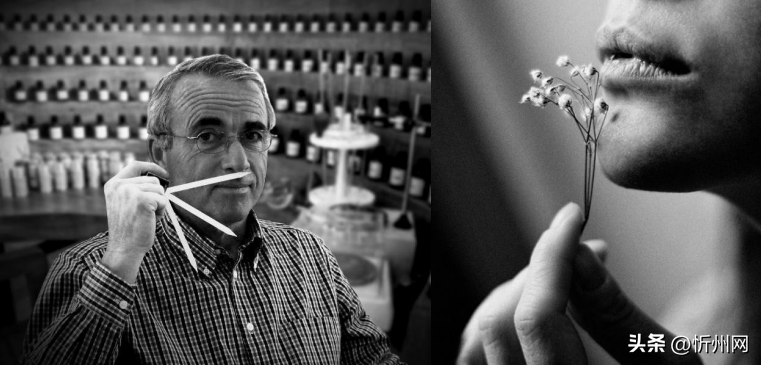 護(hù)膚天然純添加無品牌怎么辦_純天然無添加的護(hù)膚品牌_護(hù)膚天然純添加無品牌產(chǎn)品