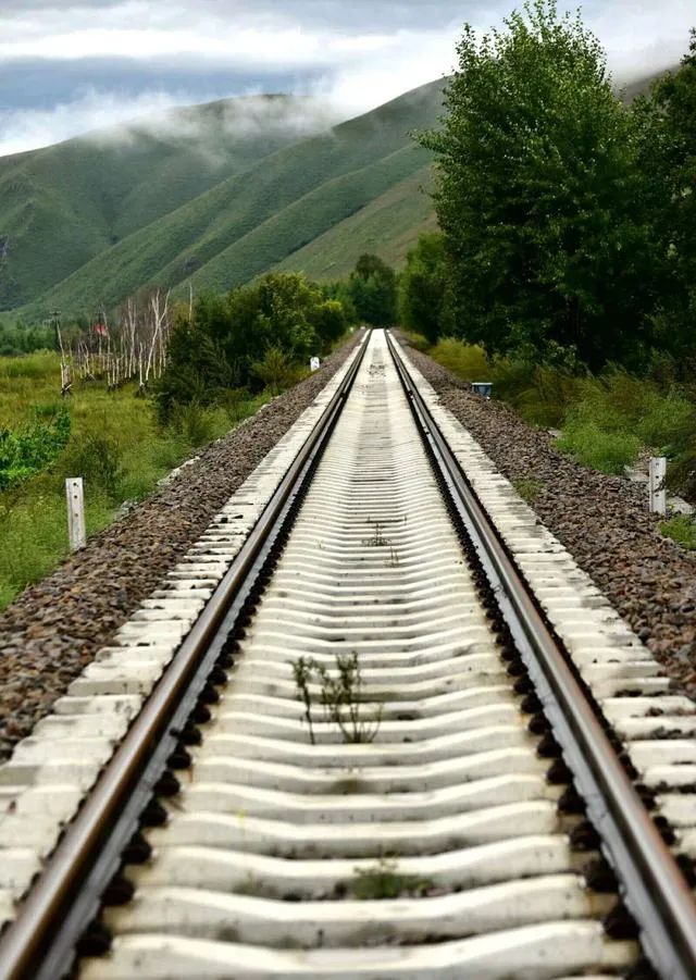 家庭教育的案例_案例家庭教育的重要性_案例家庭教育心得體會(huì)