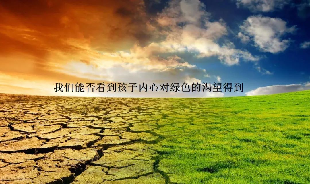 家庭教育的案例_案例家庭教育的重要性_案例家庭教育心得體會(huì)