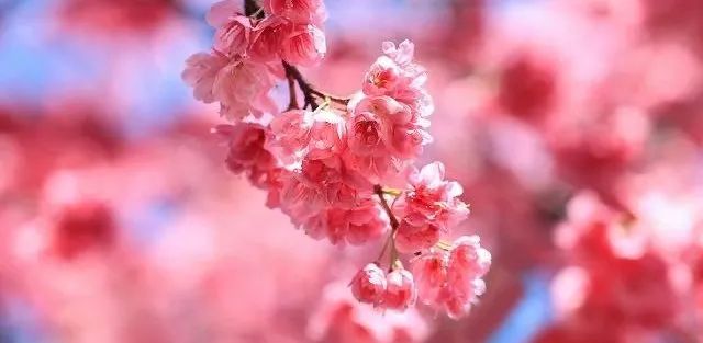 初中重要性家庭教育學(xué)生怎么寫_初中孩子的家庭教育重點_初中學(xué)生家庭教育的重要性