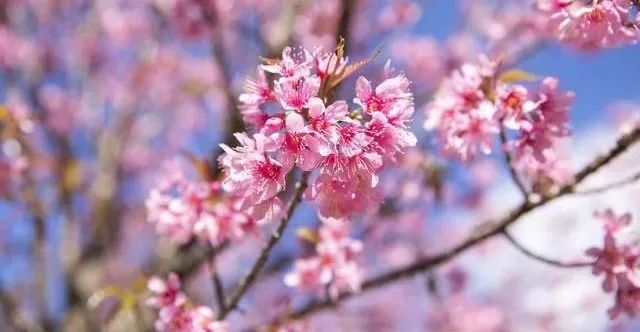 初中孩子的家庭教育重點_初中學(xué)生家庭教育的重要性_初中重要性家庭教育學(xué)生怎么寫