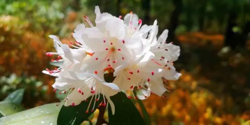 初中學(xué)生家庭教育的重要性_初中孩子的家庭教育重點_初中重要性家庭教育學(xué)生怎么寫