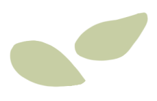 家庭教育共同體_學(xué)校和家庭共同教育的重要性_重要性共同家庭教育學(xué)校有哪些