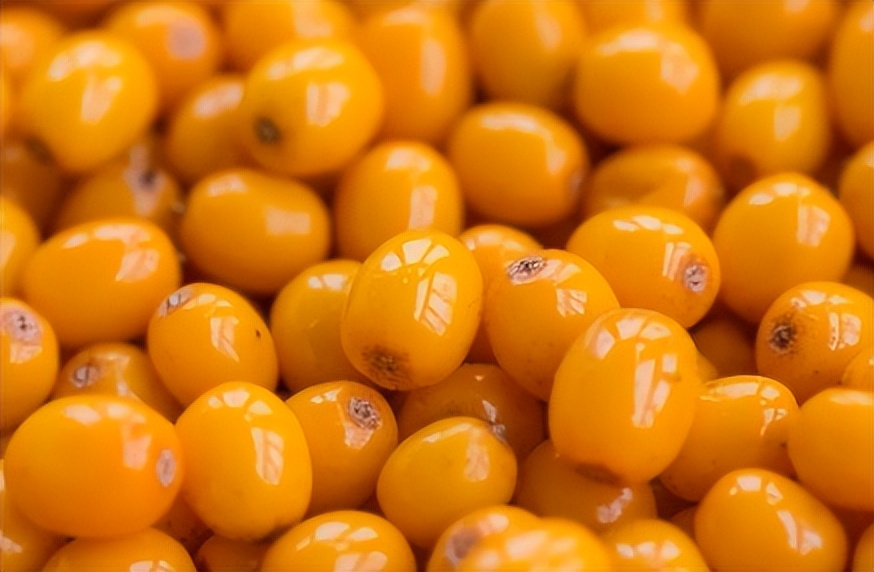 哺乳媽媽可以吃水果_哺乳期的寶媽可以吃什么水果_哺乳期寶媽能吃水果嗎